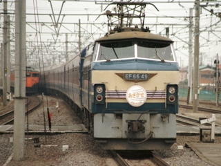 tokai